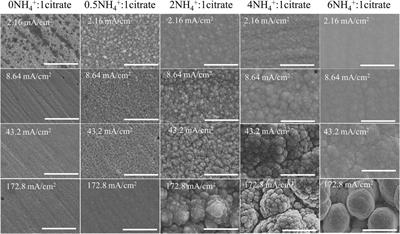 Effects of NH4+/citrate complexing agent ratio on Ni–Mo and Ni–Mo–O electrodeposits from ammonium citrate baths